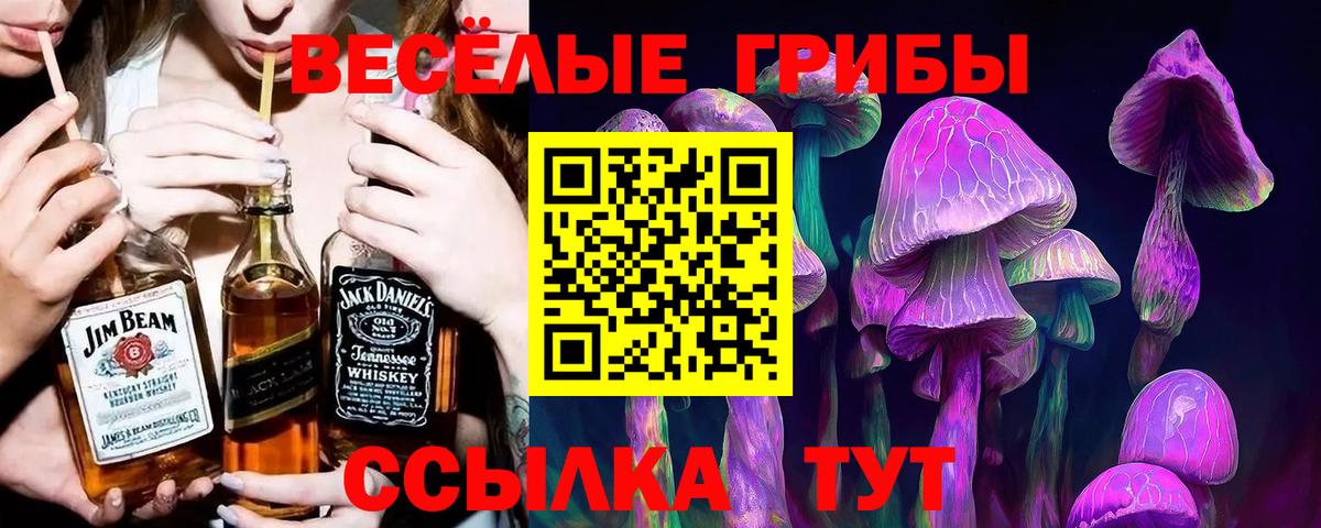 Псилоцибиновые грибы Cubensis Октябрьский